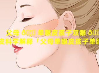 父母 🦄 单眼皮孩子双眼 🐠 皮科学解释「父母单眼皮孩子单眼皮是怎么回事」